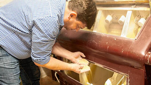 Müllermeister Daniel Blattert kontrolliert die Mehlqualität.