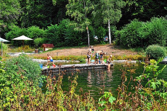 Kinder haben am Naturena-Badesee in Ühlingen-Birkendorf viel zu entdecken. Hier fangen sie mit Cachern Molche aus dem Wasser. Das Bild ...