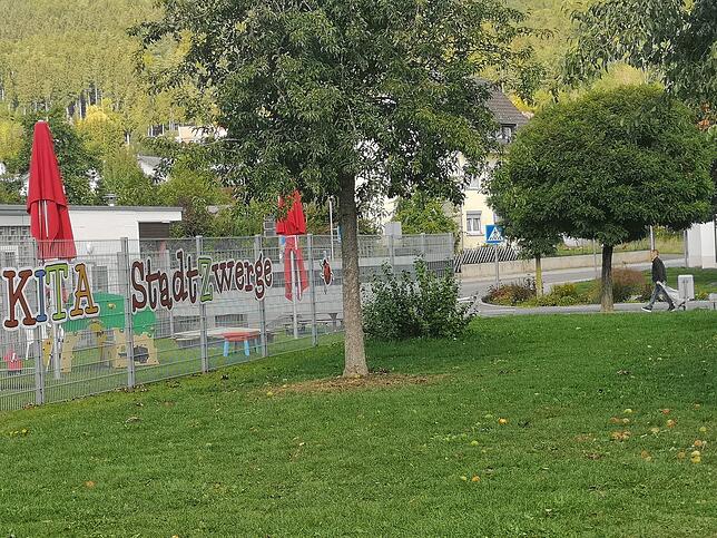 Immer mehr Eltern wollen ihr Kleinkind in einer Krippe unterbringen. Doch die Plätze für unter Dreijährige werden knapp. Deshalb ist ...
