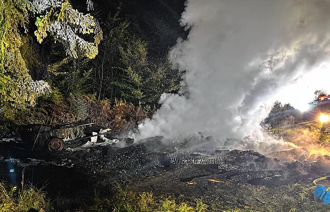 Vom Holzstapel ist nicht viel übrig.