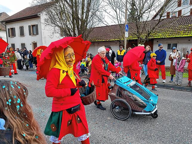 Bild 5: Spaß beim VHN-Narrentreffen: Bilder vom Umzug (1)