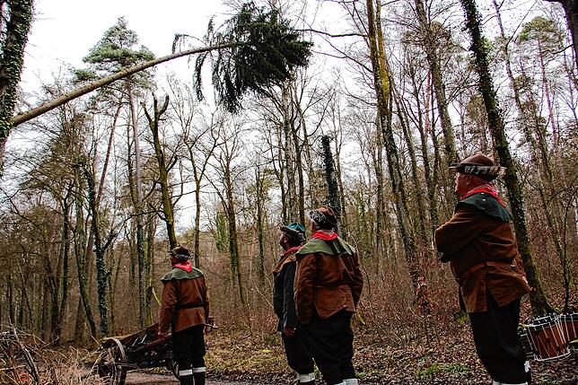 Bild 1: Die spektakulären Narrenbaum-Momente aus dem Altbohlwald: Holzhauer der Narrizella Ratoldi schlagen zu