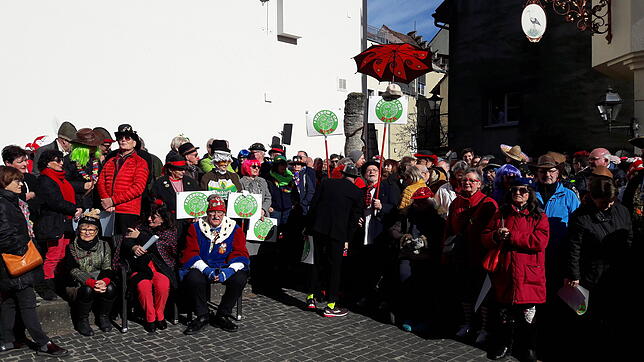 Bild 14: So schön war die Hoorige Mess&lsquo; in Tiengen: Wir haben die größte Straßenfasnacht der Region in Bildern und Videos festgehalten