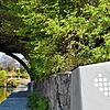 Ein &bdquo;Rheinliebe-Herz&ldquo; am Inseli symbolisiert den großen Zusammenhang des Uferrundwegs als Projekt der IBA Basel 2020.