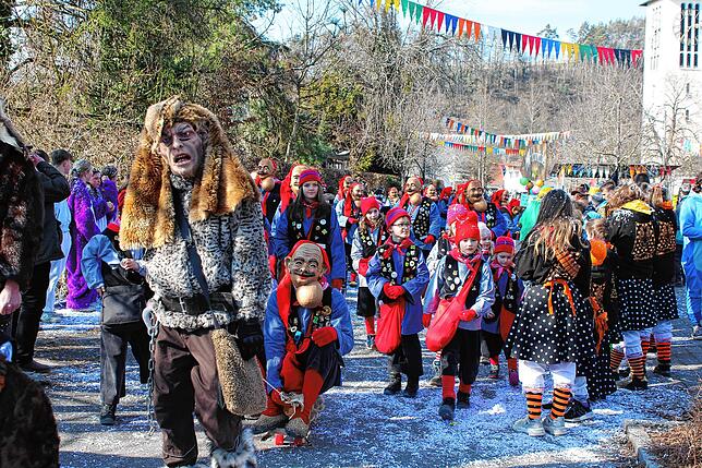 Bild 22: Fasnacht-Umzug 2025 in Wutöschingen: 41 Gruppen bringen viel Freude