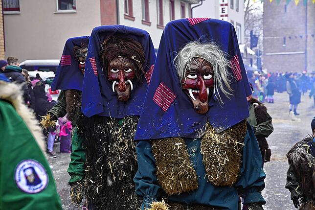 Bild 8: 75 Gruppen beim Fasnachtsumzug in St. Georgen: Wir haben die Bilder
