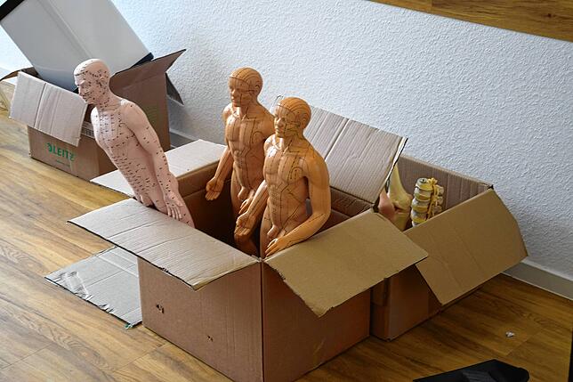 Die Akupunkturpuppen warten im Orthopädischen Zentrum des Gesundheitscampus noch auf ihren Einsatz.