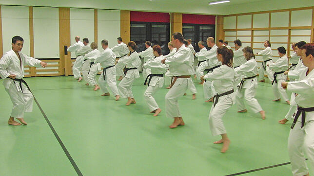 Das Karate Dojo gehört zu den größten Vereinen im Telekomhaus und hat viel in seine Einrichtung investiert. 400 Quadratmeter haben die ...