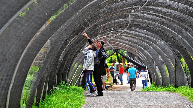Der Uhu-Tunnel steht zum Schutz des Uhu-Nachwuchses. Das Bild entstand im Sommer 2020.