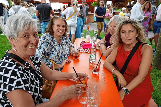 Bild 5: Zahlreiche Besucher lockt das Staader Hafenfest 2025 ans Bodenseeufer