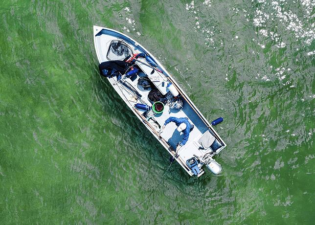 Bild 4: Zwischen Hecht und Felchen: Die wichtigsten Regeln für Angler am Bodensee