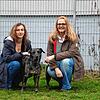Nicole Weber (links) und Julia Bierbach mit Hund Nino im Außenbereich des Tierheims Radolfzell. Insgesamt fehlt es an Platz, deshalb ...