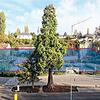 Trotz Einwänden von Behörden und Anwohnern gegen die Planung des Parkhaus Therme hat der Gemeinderat dem Bebauungsplan zugestimmt. Bild: ...