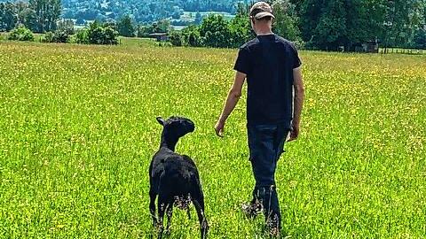 In Schaf Dirk hat der junge zu Betreuende einen tierischen Freund im Projekt &bdquo;Schwarzes Schaf&ldquo; gefunden. Dirk folgt ihm auf ...