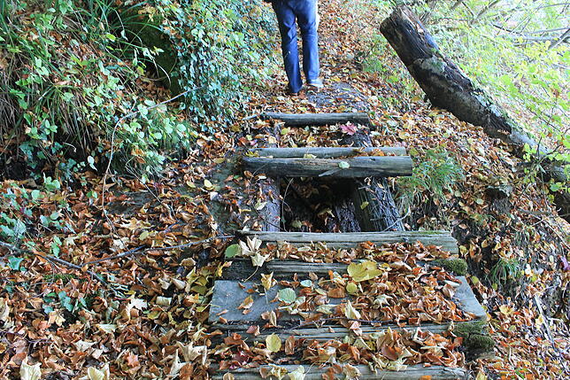 Schäden an einem der Wege bei der Marienschlucht.