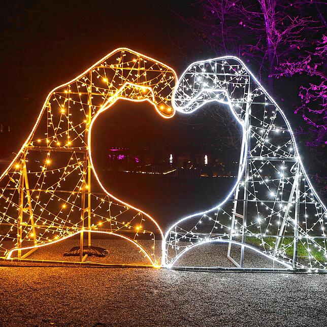 Diese Lichtinstallation zeigt zwei Hände, die gemeinsam ein Herz formen.