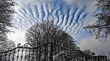 Blick in den Himmel über dem fürstlichen Park/Garten in Heiligenberg. Fotografin Heidrun Licht erkannte in den Wolken nach eigener ...