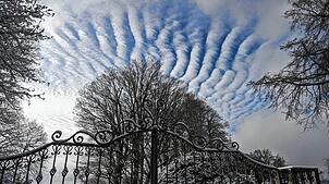 Blick in den Himmel über dem fürstlichen Park/Garten in Heiligenberg. Fotografin Heidrun Licht erkannte in den Wolken nach eigener ...