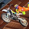 Stuntshow während der Motorradwelt Bodensee vor zwei Jahren, im Januar 2022 musste die Messe abermals abgesagt werden. (Archivbild)