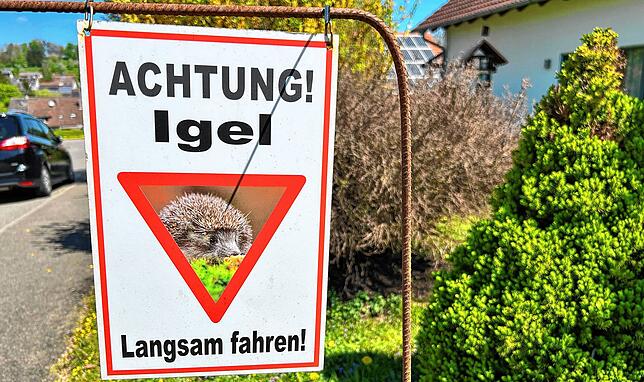 Die Freigänger im Garten sind auch mal in der Nachbarschaft der Familie Hohn unterwegs.