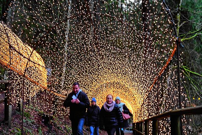 Bild 15: Triberger Weihnachtszauber verzaubert mit einer Million Lichter