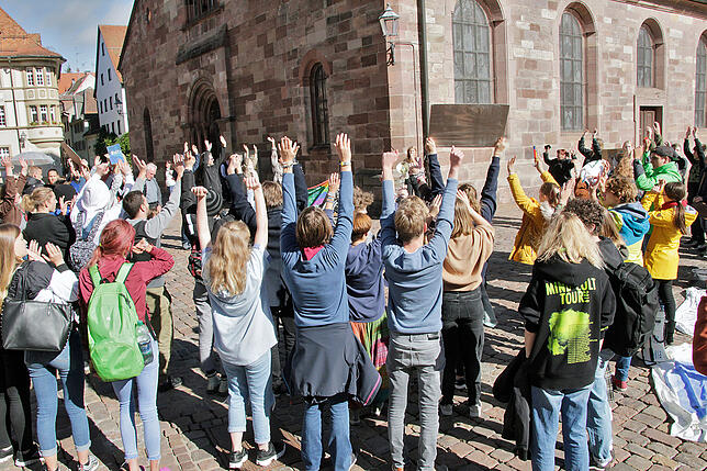 Bild 8: Impressionen von der Fridays for Future-Demo in Villingen