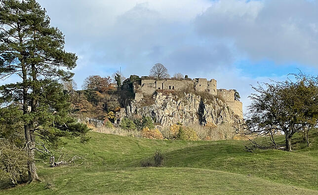 Nicht der erste Felsen, der vom Singener Hausberg krachte: Bereits 2019 sorgte ein Felssturz dazu, dass der Hohentwiel für mehr als 15 ...