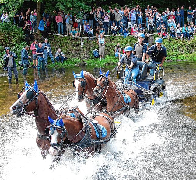 Das große Donaueschinger Reitturnier ist ein Publikumsmagnet. Besonders die Gespannfahrten mit Brigachdurchquerung locken die Zuschauer. ...