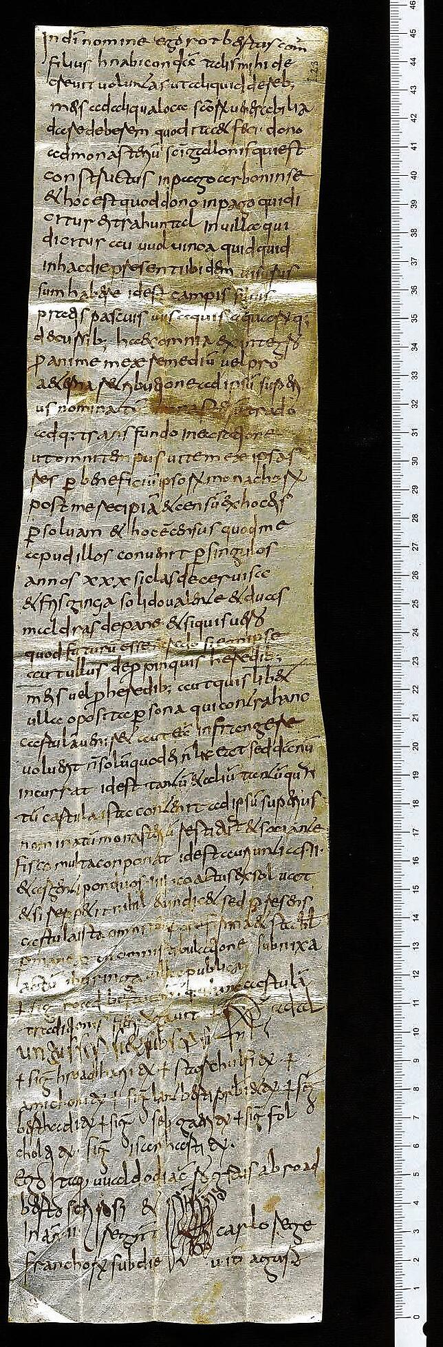 Das ungewöhnliche Überlinger Hochformat: Die Urkunde ist 45 Zentimeter hoch und nur zehn Zentimeter breit.