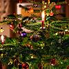 Ein bunt geschmückter Weihnachtsbaum. Bald ist seine Herrlichkeit vorbei. Doch er kann eine zweite Karriere starten: im Garten, im ...