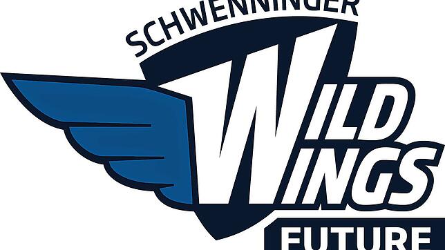Bild : Vier Tore im zweiten Drittel