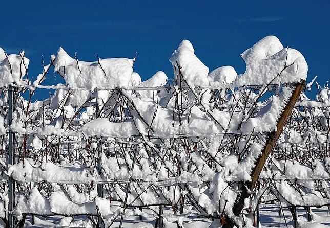 Bild 5: Immer noch überall Schnee: Der SÜDKURIER zeigt die schönsten Bilder der vergangenen Tage