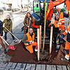 Auf dem Bahnhofplatz gibt es keine Pflanzkübel – hier kommen die Bäume ins Erdreich. Dafür legen sie Hand an (von links): ...