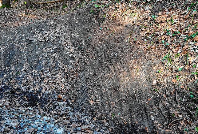Beispiel für die Schäden an einer der inoffizellen Strecken durch den Wald.