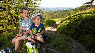 Im Schwarzwald gibt es zahlreiche Wanderstrecken, die auch für Kinder gut geeignet sind.