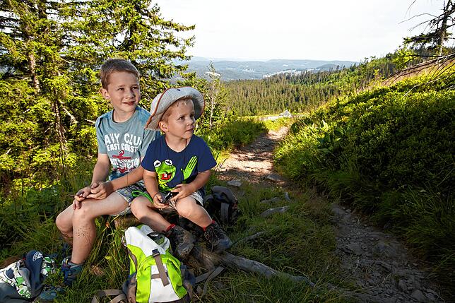 Im Schwarzwald gibt es zahlreiche Wanderstrecken, die auch für Kinder gut geeignet sind.