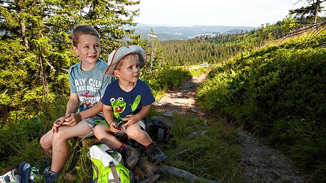 Im Schwarzwald gibt es zahlreiche Wanderstrecken, die auch für Kinder gut geeignet sind.