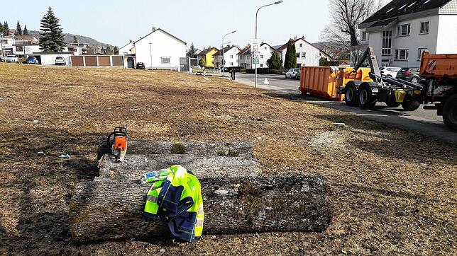 So sieht das für den Schulcampus gerodete Gelände an der Ecke Achdorfer Straße/Eichbergstraße aus. Bild: Benhard Lutz