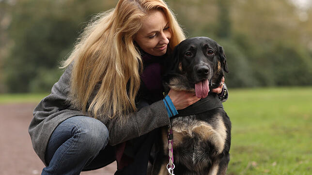 Hundehalter sollten auf ihre Vierbeiner zwischen Villingen und Weilersbach aufpassen. Dort sind mit Splitter versetzte Köder ausgelegt.