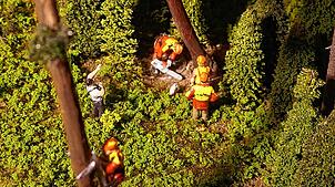 Die Forstarbeiten im Modellbahnmaßstab 1:87 wirken nicht weniger gefährlich als sie in Wirklichkeit sind. Gleich wird der Baum unter ...