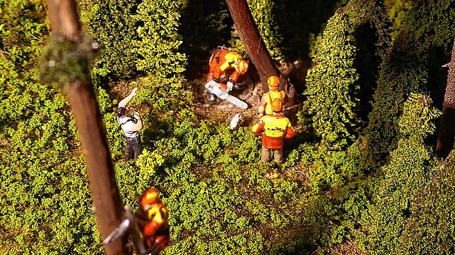 Die Forstarbeiten im Modellbahnmaßstab 1:87 wirken nicht weniger gefährlich als sie in Wirklichkeit sind. Gleich wird der Baum unter ...