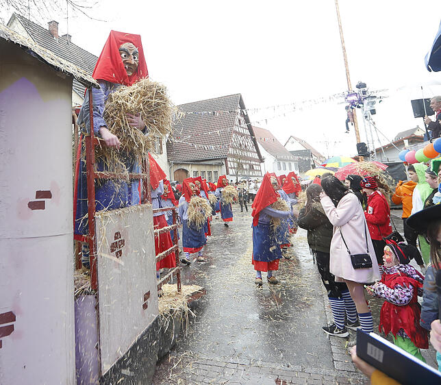 Bild 5: Bilder zum großen Narrentreffen in Pfohren (1)