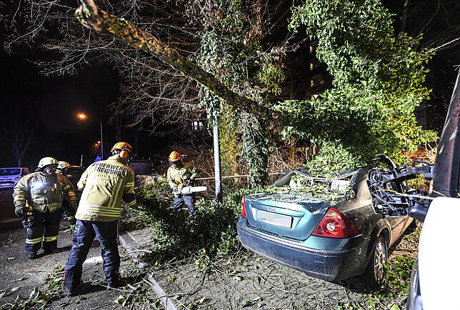 Ein Baum ist durch Orkanböen des Sturmtiefs „Sabine“ auf ein Auto in Freiburg gestürzt.