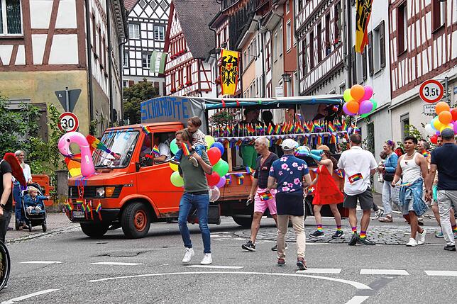 Bild 5: Der Überlinger CSD in Bildern, und dazwischen eine kleine Gruppe AfD