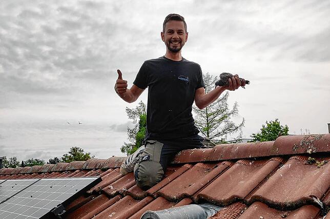 Taube erwischt. Thorsten Kuchenbecker von der Stadttaubenhilfe beim Arbeitseinsatz auf einem Dach.