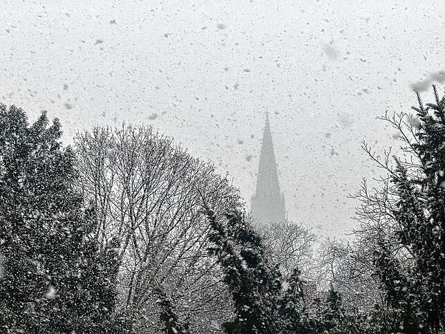 Freiburg: Starker Schneefall bedeckt langsam Bäume und Dächer, während im Hintergrund das Freiburger Münster kaum noch zu sehen ist.