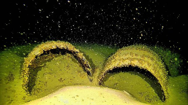 Verlorene Ladung am Seegrund: Zwei Holzfässer in den Tiefen des Bodensees