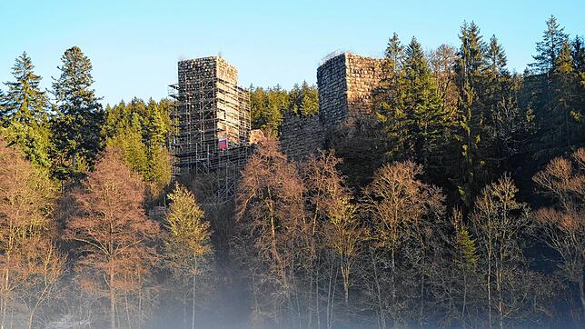 Die Burgruine Roggenbach im Steinatal. Die beiden Bergfriede sind ungewöhnlich und zeugen davon, dass sich im 13. Jahrhundert eine ...