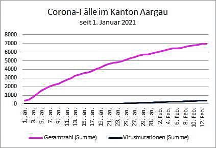 Die Kurve der Gesamtzahl der Covid19-Fälle wird flacher – doch mit den Mutationen könnte sich bald ein unsichtbare Welle aufbauen.
