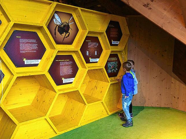 Kinder staunen im Schwarzwaldhaus der Sinne über Bienen und ihre Leistungen.